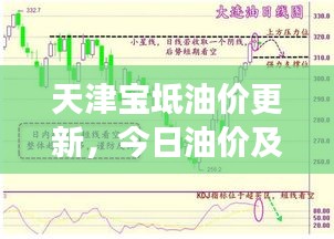 天津宝坻油价更新，今日油价及变动趋势分析