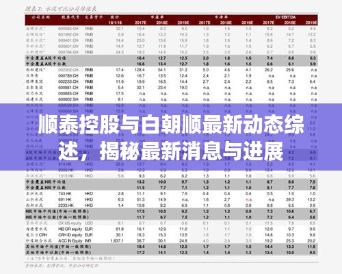顺泰控股与白朝顺最新动态综述，揭秘最新消息与进展