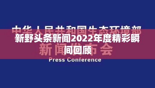 新野头条新闻2022年度精彩瞬间回顾