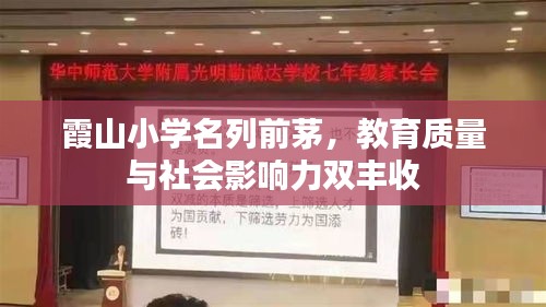 霞山小学名列前茅，教育质量与社会影响力双丰收