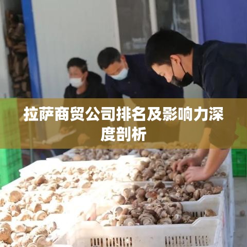 拉萨商贸公司排名及影响力深度剖析