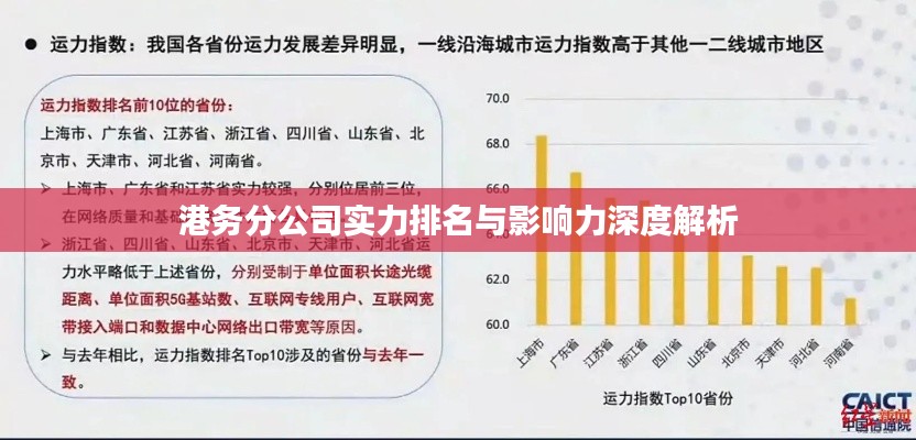 港务分公司实力排名与影响力深度解析