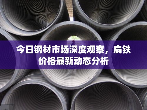 今日钢材市场深度观察，扁铁价格最新动态分析